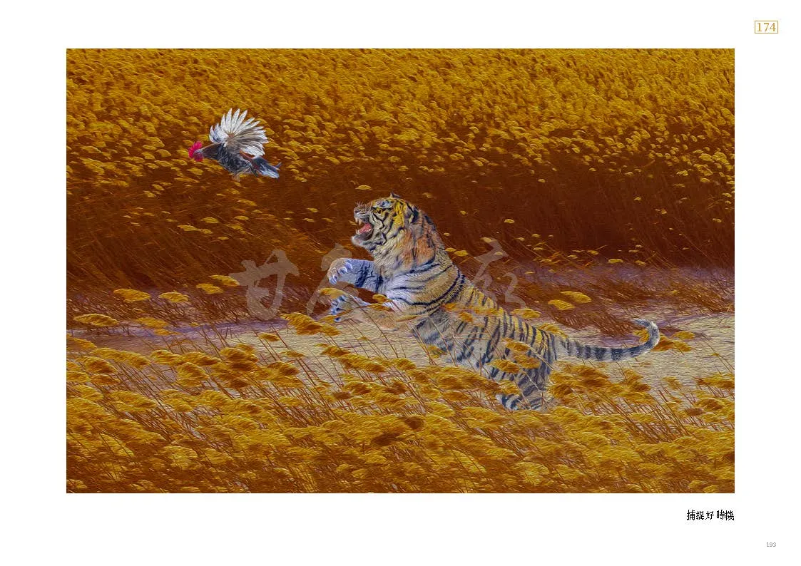 9786260101114_b13