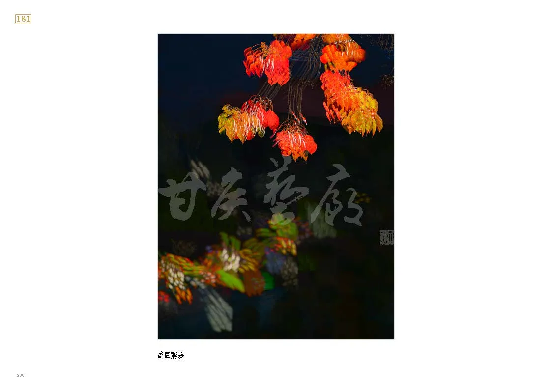 9786260101114_b14