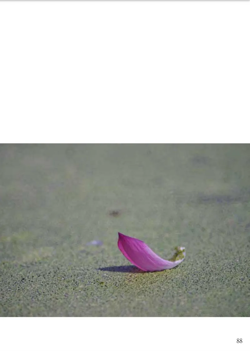 9786260128265_b7