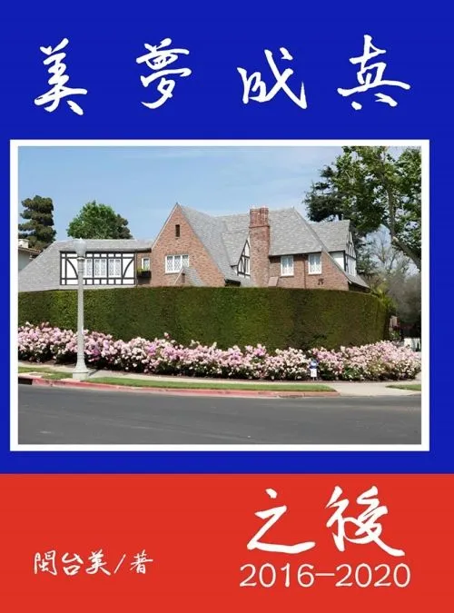 美夢成真之後2016-2020