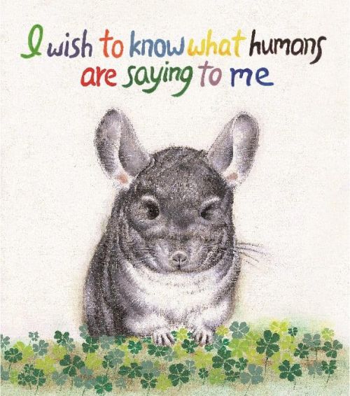 I wish to know what humans are saying to me