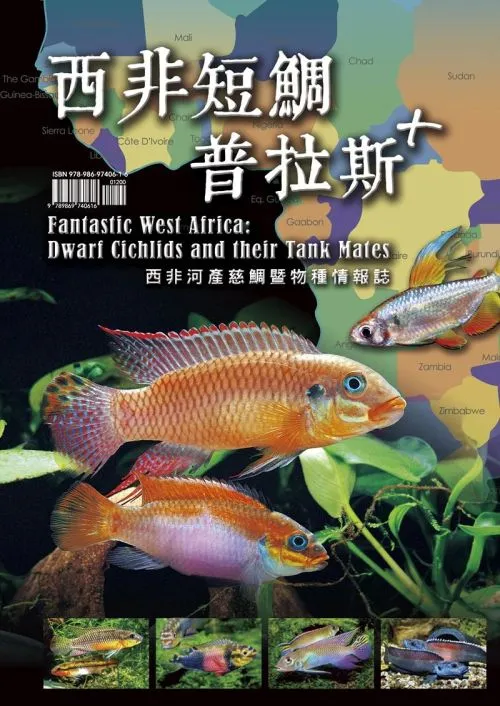 西非短鯛普拉斯＋ 西非河產慈鯛暨物種情報誌