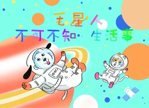 坤益好時光: 毛星人不可不知生活事