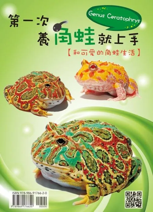 第一次養角蛙就上手