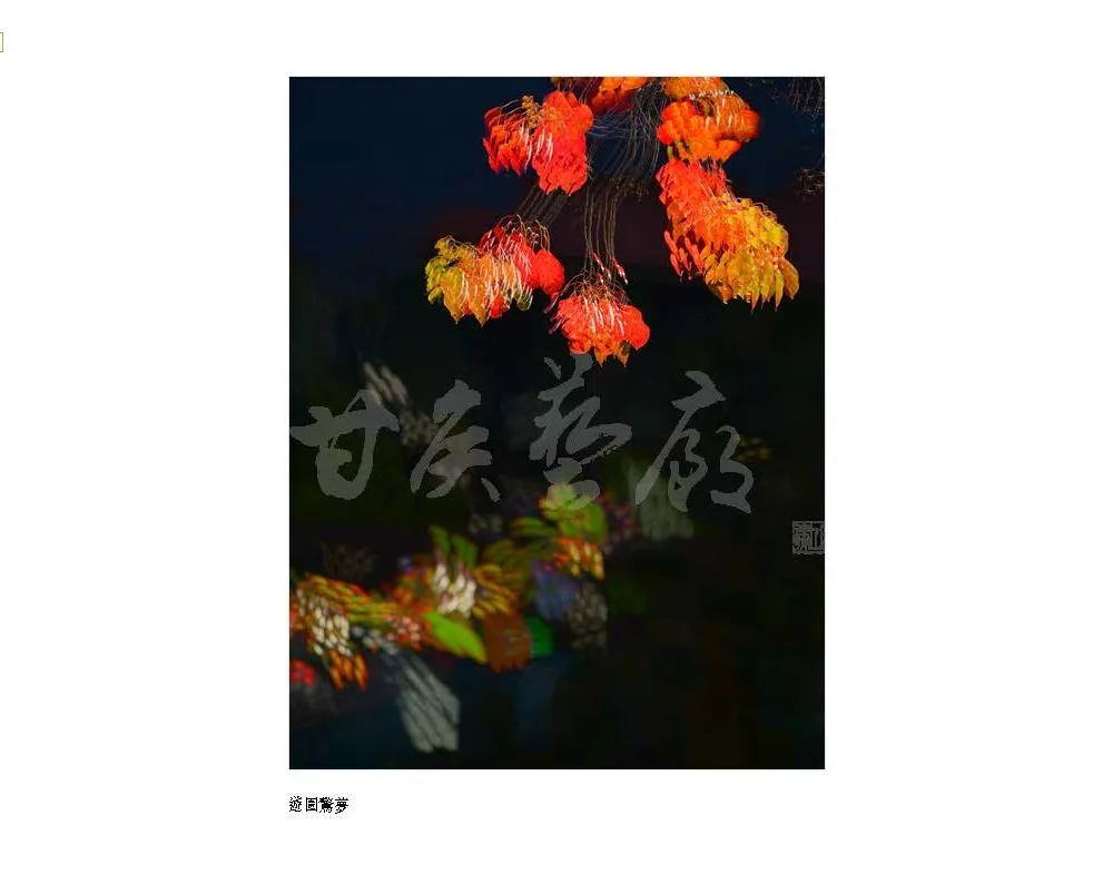 9786260101114_b14