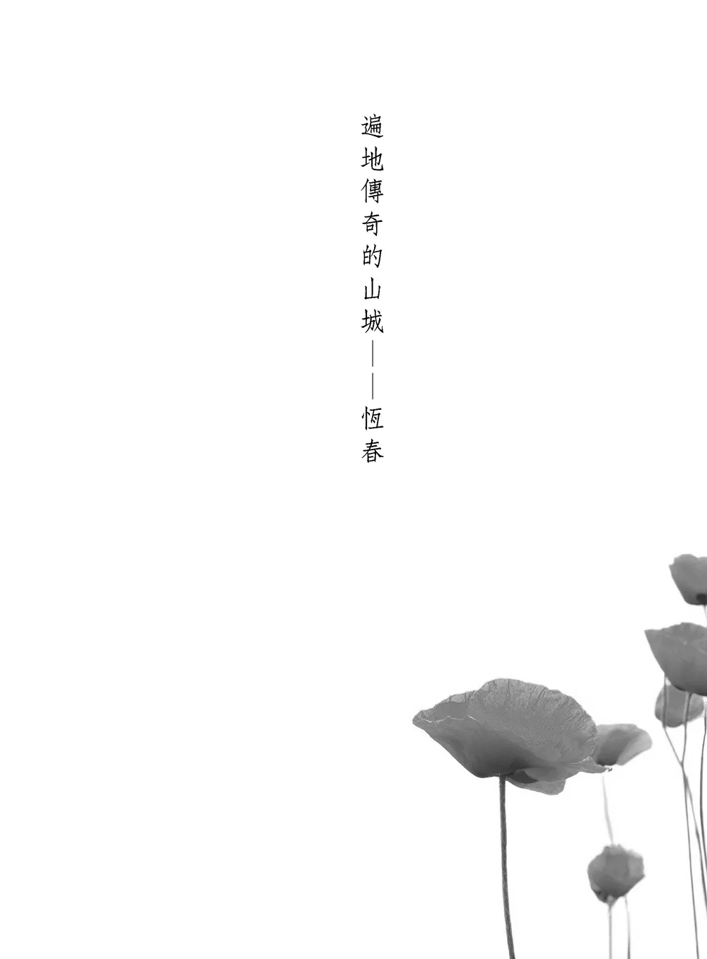 9786263640399_b1