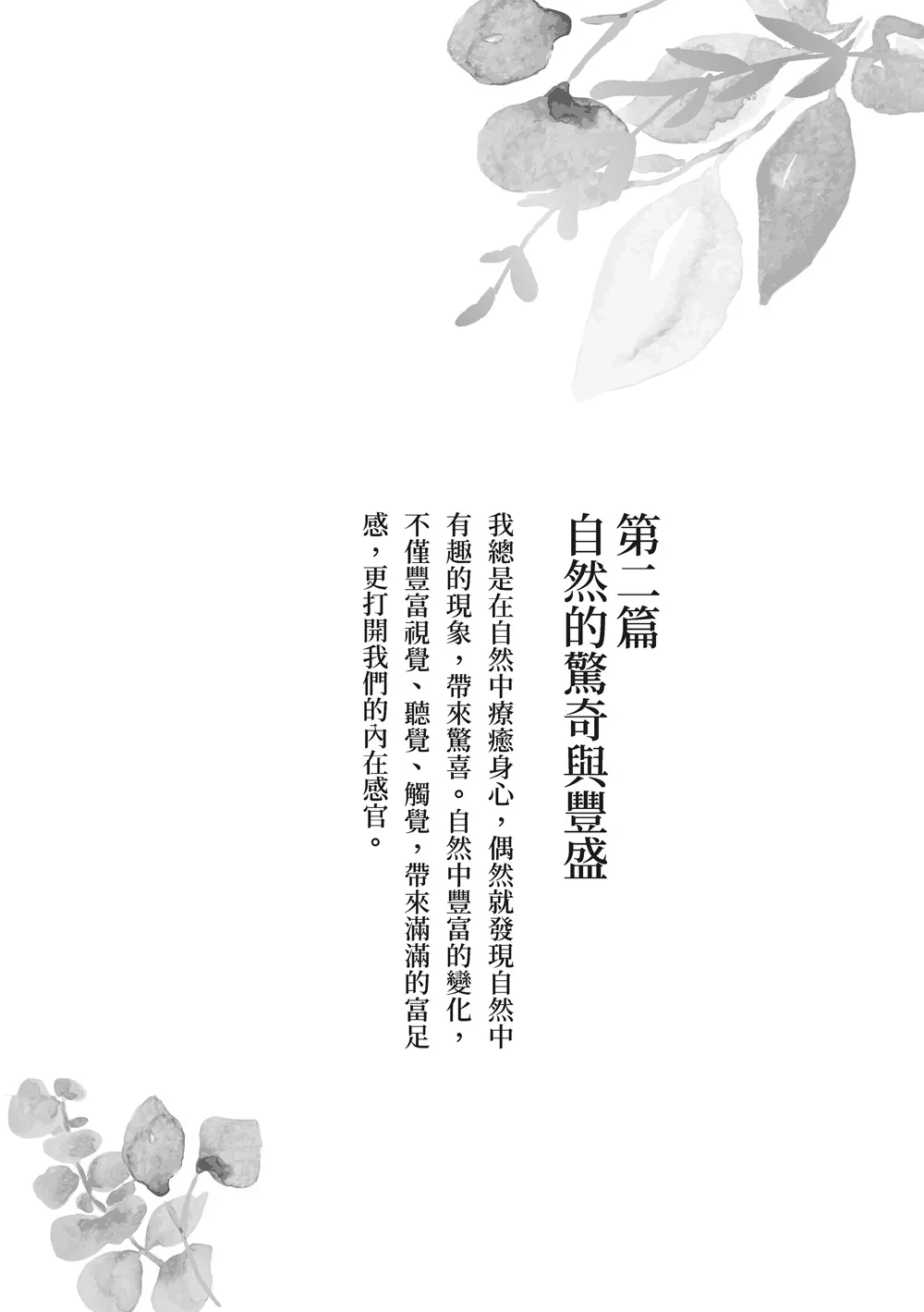 9786263642430_b1
