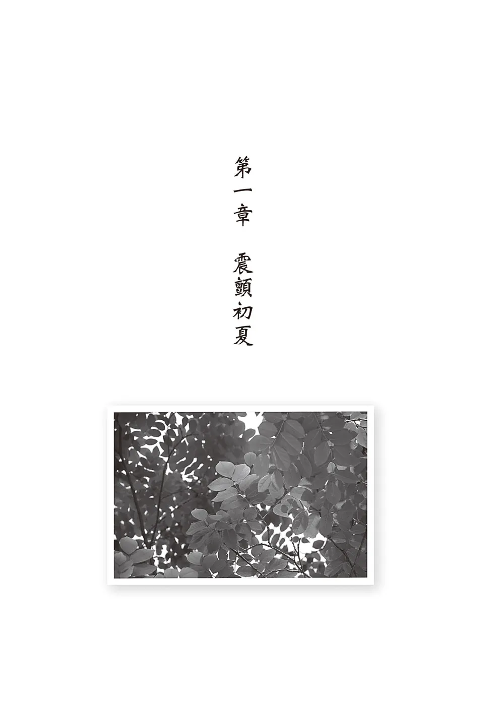 9786263645325_b4