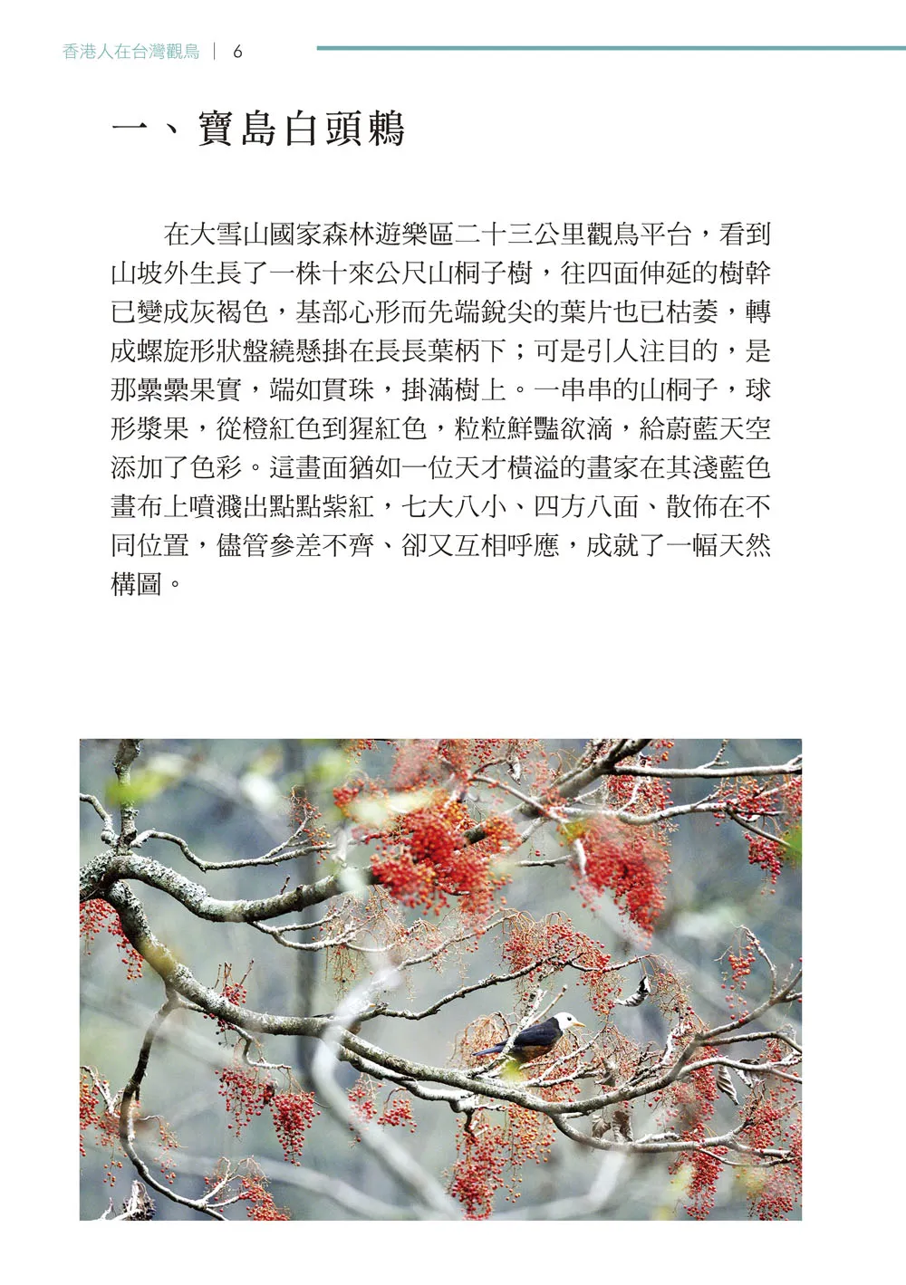 9786267056691_b6