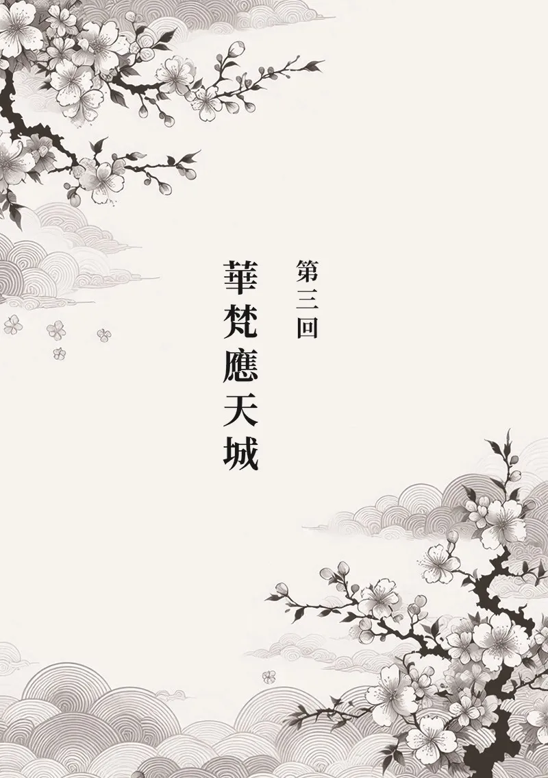9786269777419_b1